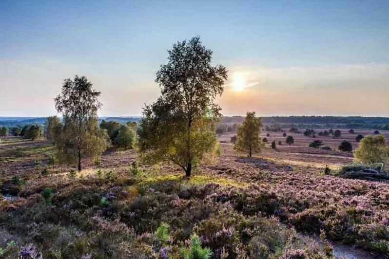 Hanstedt Ferienwohnung Im Auetal - Wohnung I מראה חיצוני תמונה